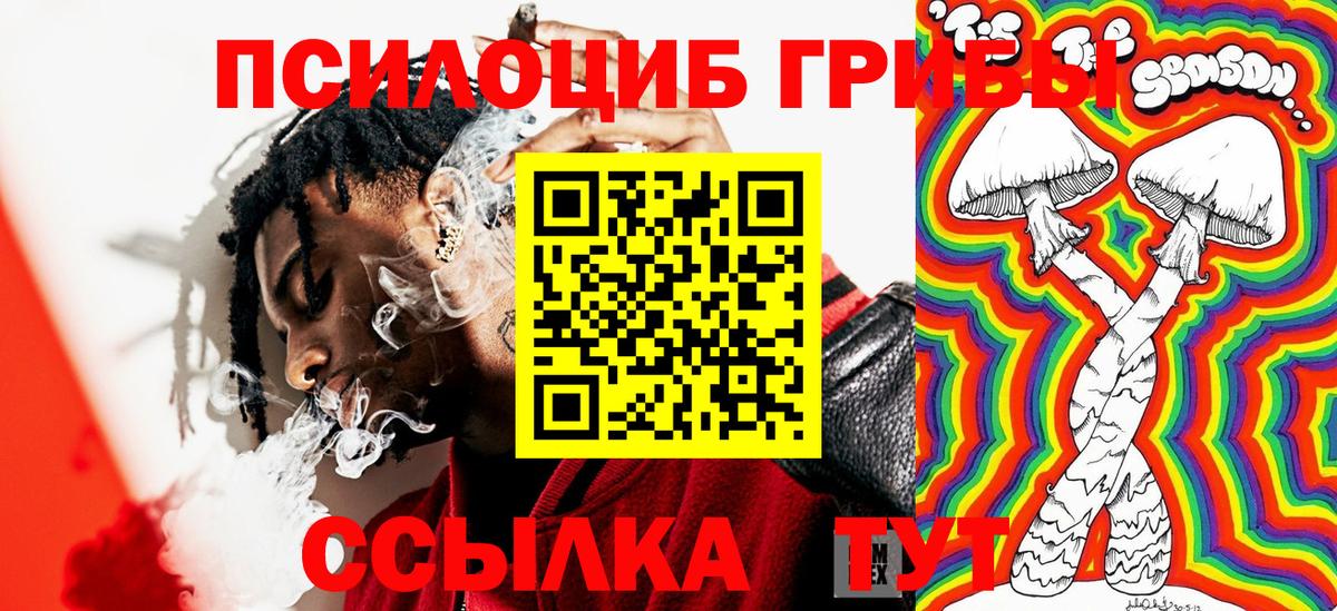 Галлюциногенные грибы Psilocybine cubensis Елизово