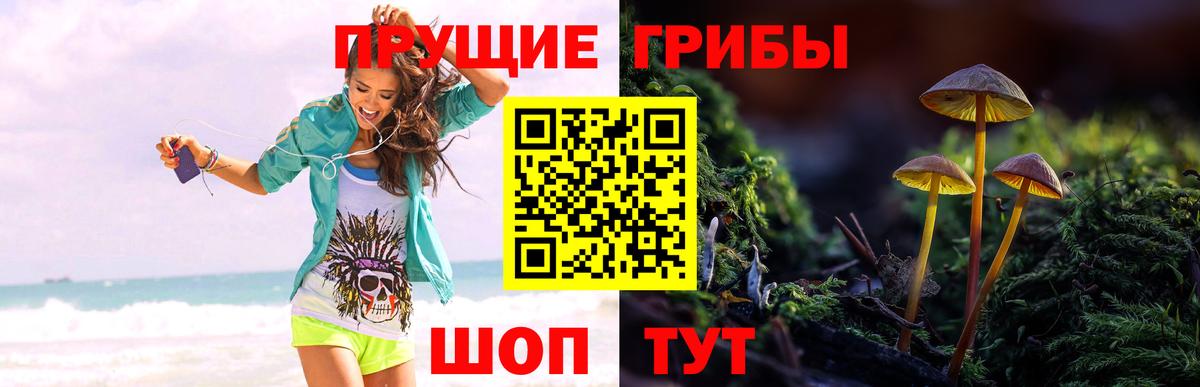 Елизово  Псилоцибиновые грибы GOLDEN TEACHER  Псилоцибиновые грибы Magic Shrooms  Вход с VPN 